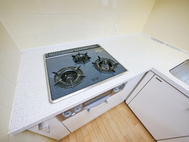 ライオンズステーションプラザ溝の口セントラルアベニューの物件内観写真