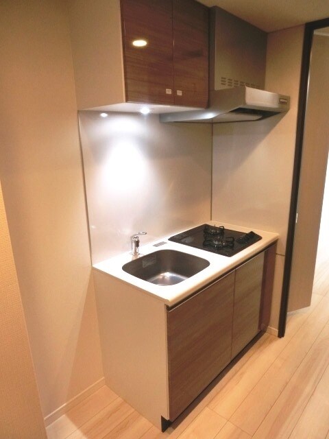 S-RESIDENCE雑司ヶ谷の物件内観写真