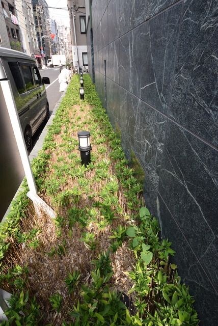 MMガーデンの物件内観写真