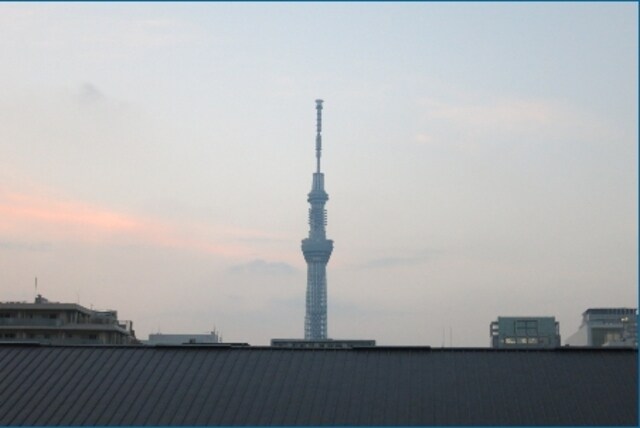 ジョイシティ住吉IIの物件内観写真