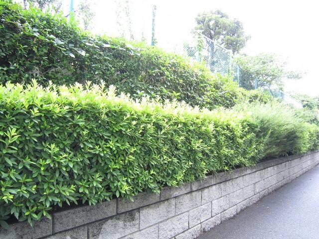 プレール・ドゥーク東陽町の物件内観写真