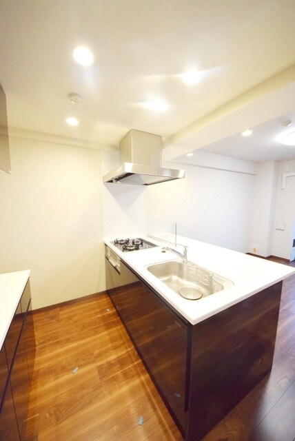 DIPS十条仲原EASTの物件内観写真