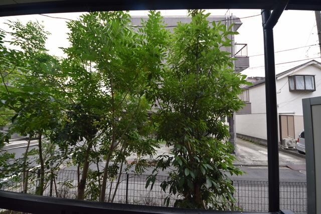 レオネクストグリーンパーク舎人の物件内観写真