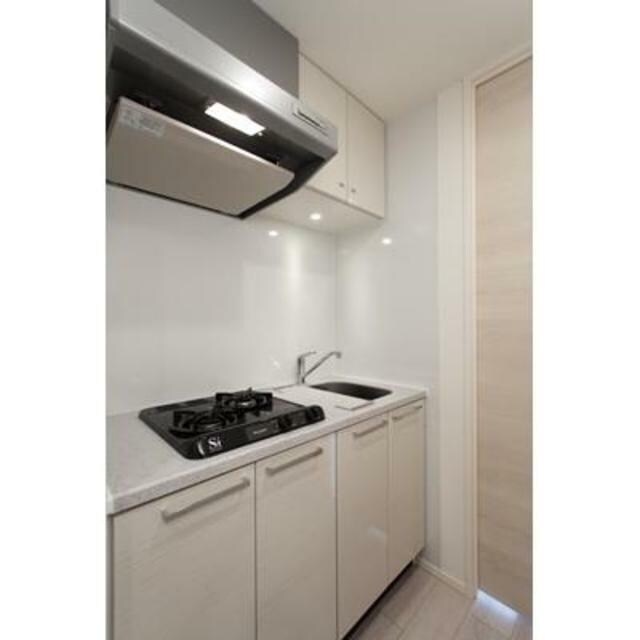 レビスタ白金高輪の物件内観写真