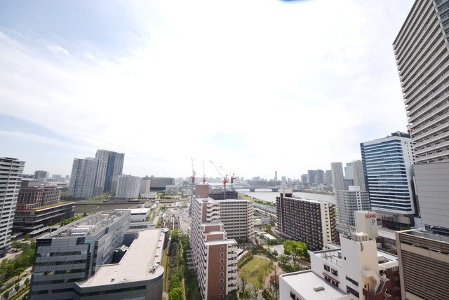 ルミレイス豊洲の物件内観写真