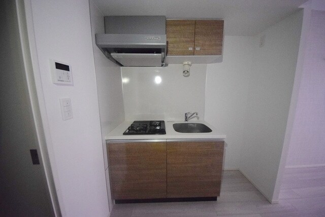 ラフィスタ錦糸町IIの物件内観写真