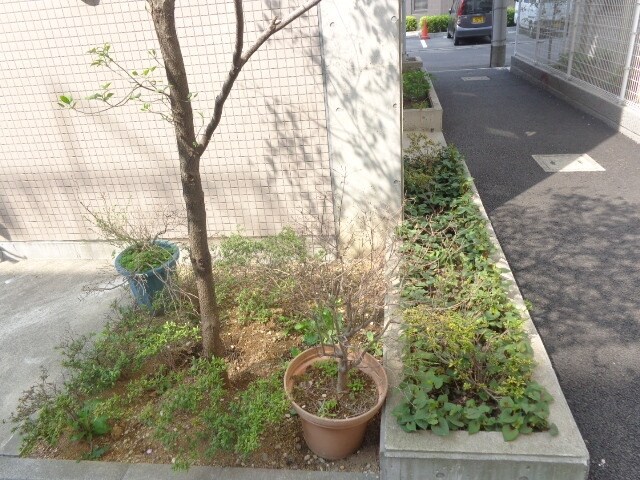 ラフィネ築地の物件内観写真