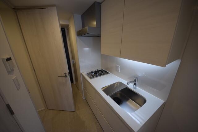 ザ・パークハビオ根岸三丁目の物件内観写真