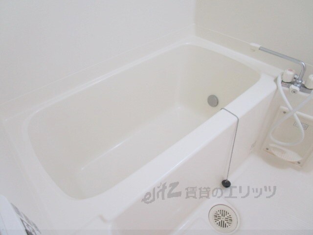 アムールアベイユIIの物件内観写真