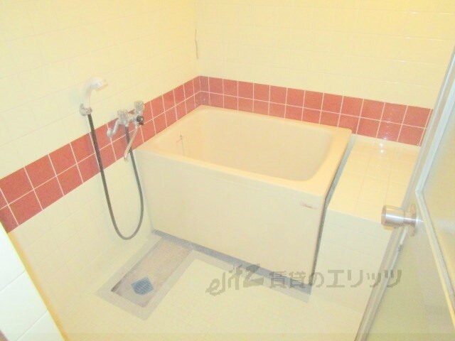 清涼ハイツの物件内観写真