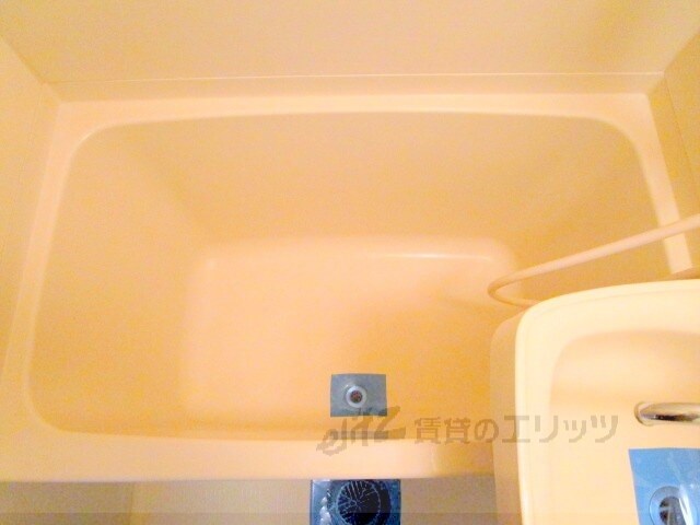 ハイツOKANOの物件内観写真