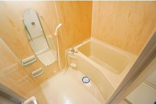 LaDouceur江坂の物件内観写真