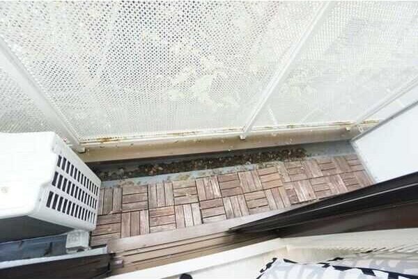 レリーサ真上の物件内観写真