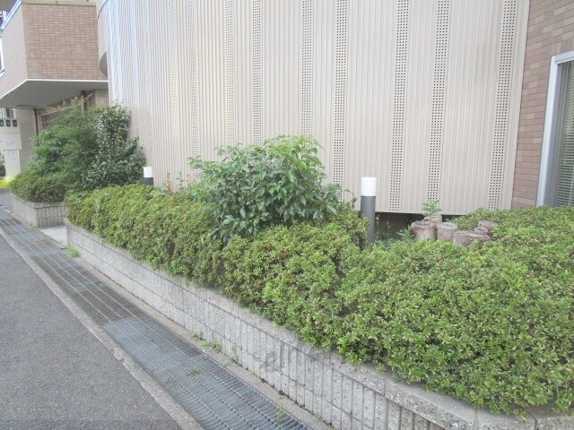 フレアコートの物件内観写真