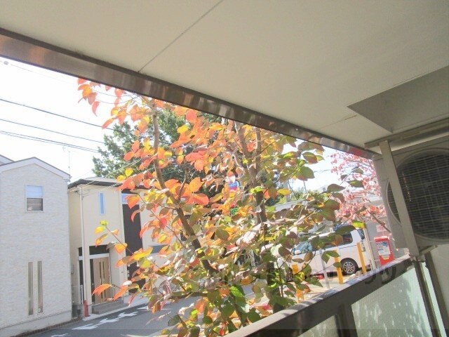 グレースメゾン本町の物件内観写真