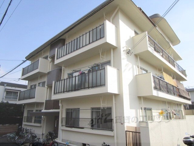 大宅マンションの物件外観写真