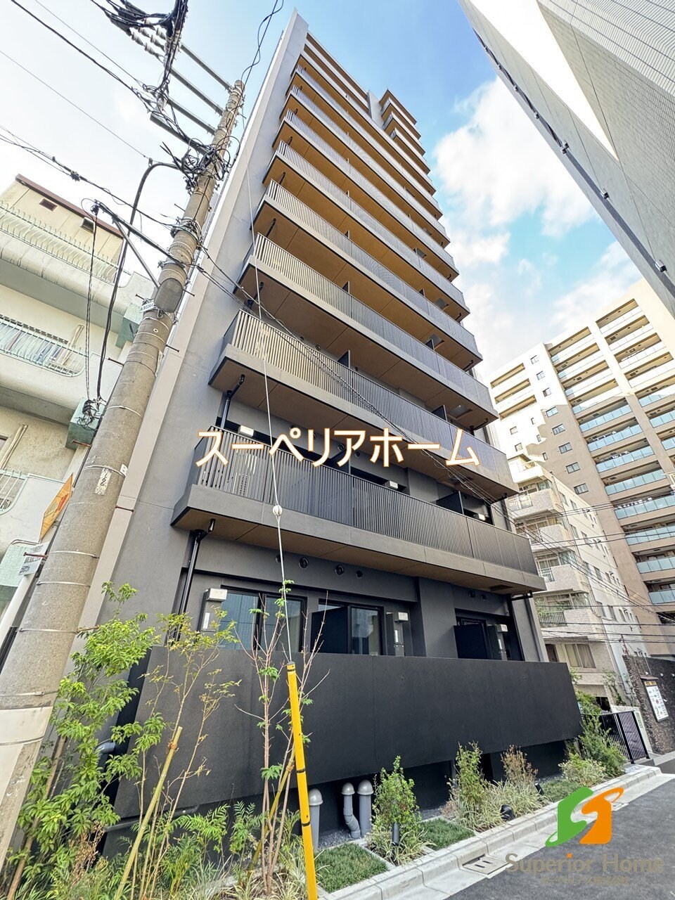 ザ・ライオンズフォーシア文京湯島の物件内観写真