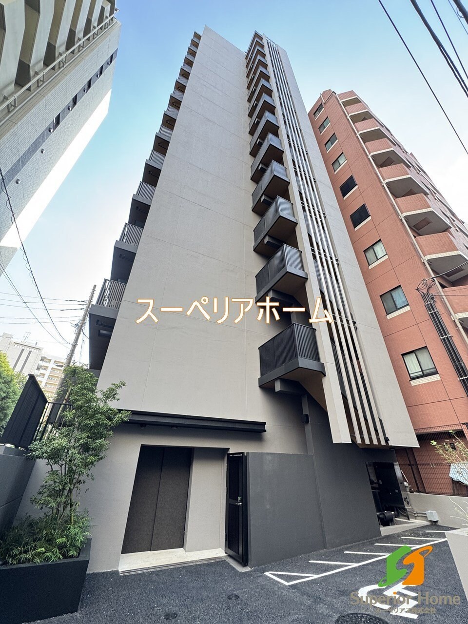 ザ・ライオンズフォーシア文京湯島の物件内観写真