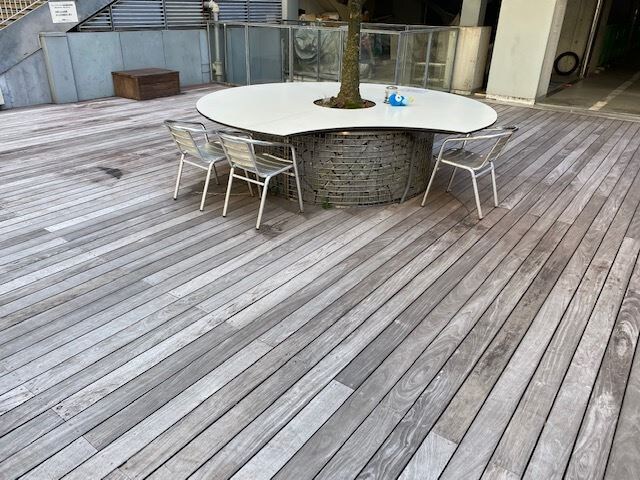 東雲キャナルコートCODAN20号棟の物件内観写真