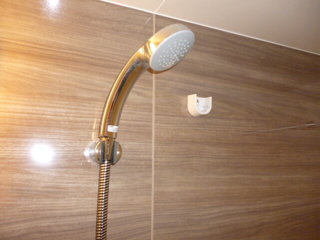 ルミレイス豊洲の物件内観写真