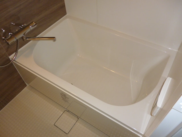 ルミレイス豊洲の物件内観写真