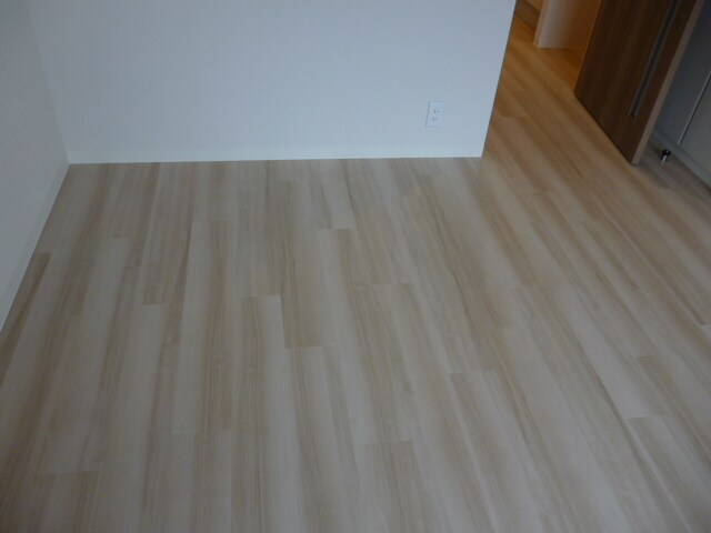 ルミレイス豊洲の物件内観写真