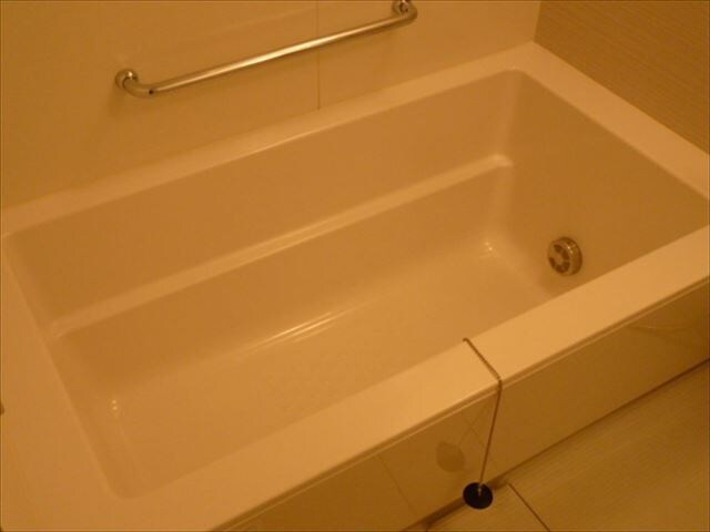 パークアクシス辰巳ステージの物件内観写真