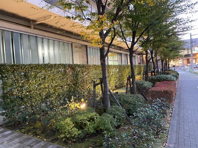 東雲キャナルコートCODAN20号棟の物件内観写真