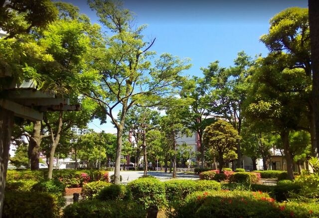 東雲キャナルコートCODAN20号棟の物件内観写真