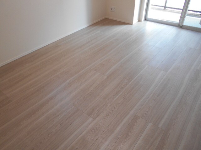 エスレジデンス錦糸町パークサイドの物件内観写真