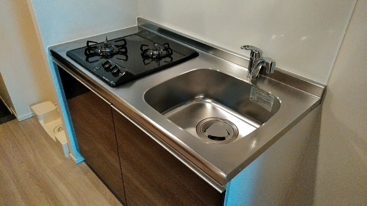 エスレジデンス錦糸町パークサイドの物件内観写真