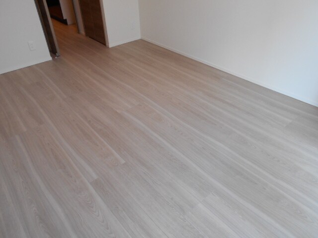 エスレジデンス錦糸町パークサイドの物件内観写真