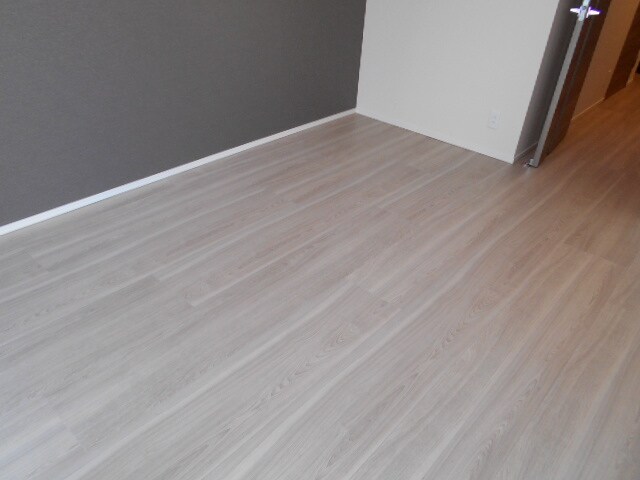 エスレジデンス錦糸町パークサイドの物件内観写真