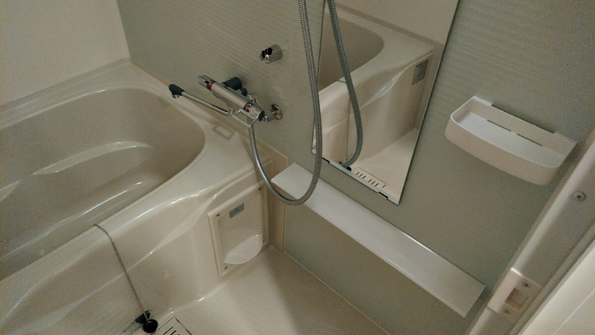 エスレジデンス錦糸町パークサイドの物件内観写真