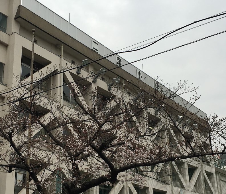 ナチュラルハウスの物件内観写真