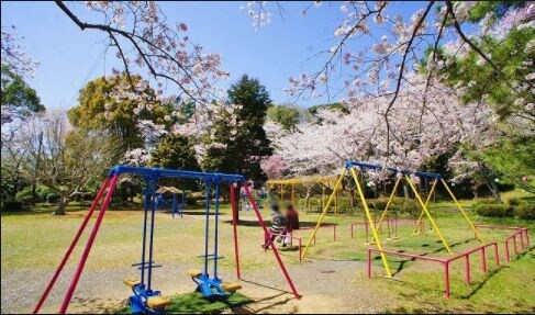 ステラマリス(Stella Maris)の物件内観写真