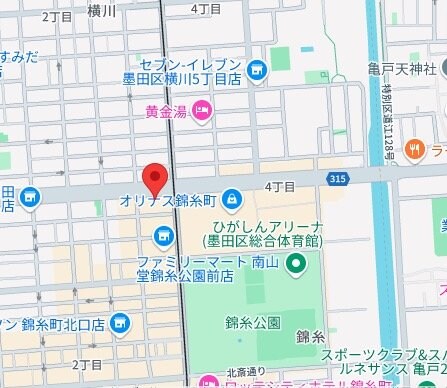 ヴィエルジュ錦糸町太平の物件内観写真