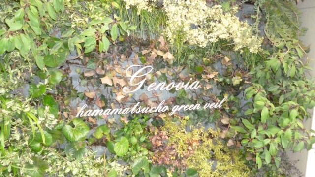 ジェノヴィア浜松町グリーンヴェールの物件内観写真