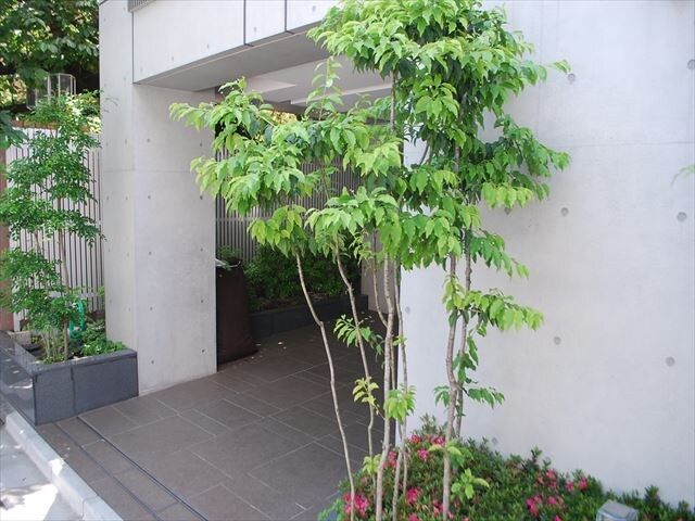 ライズ六本木永坂の物件内観写真