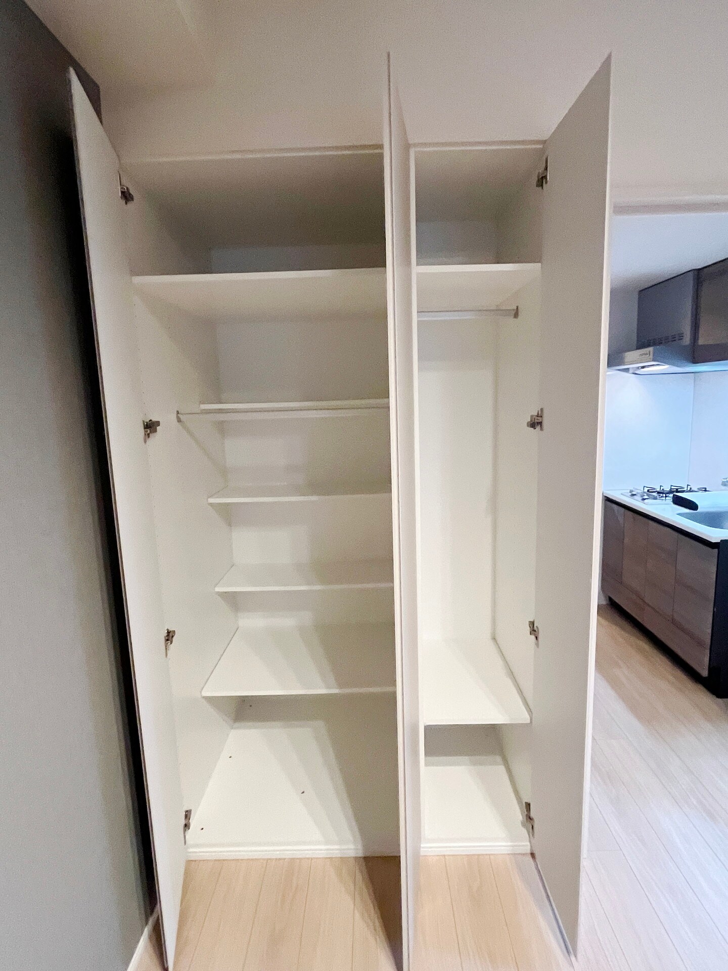 ザ・レジデンス赤坂檜町(旧ロイジェントパークス赤坂)の物件内観写真