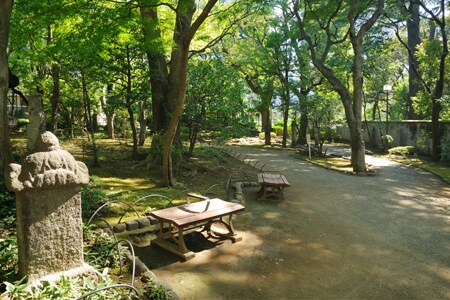 プライムアーバン赤坂の物件内観写真
