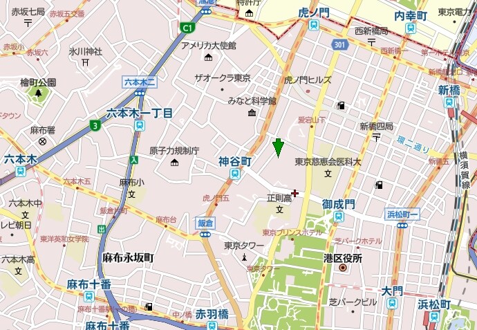 デュアレス愛宕虎ノ門(DUARES愛宕虎ノ門)の物件内観写真