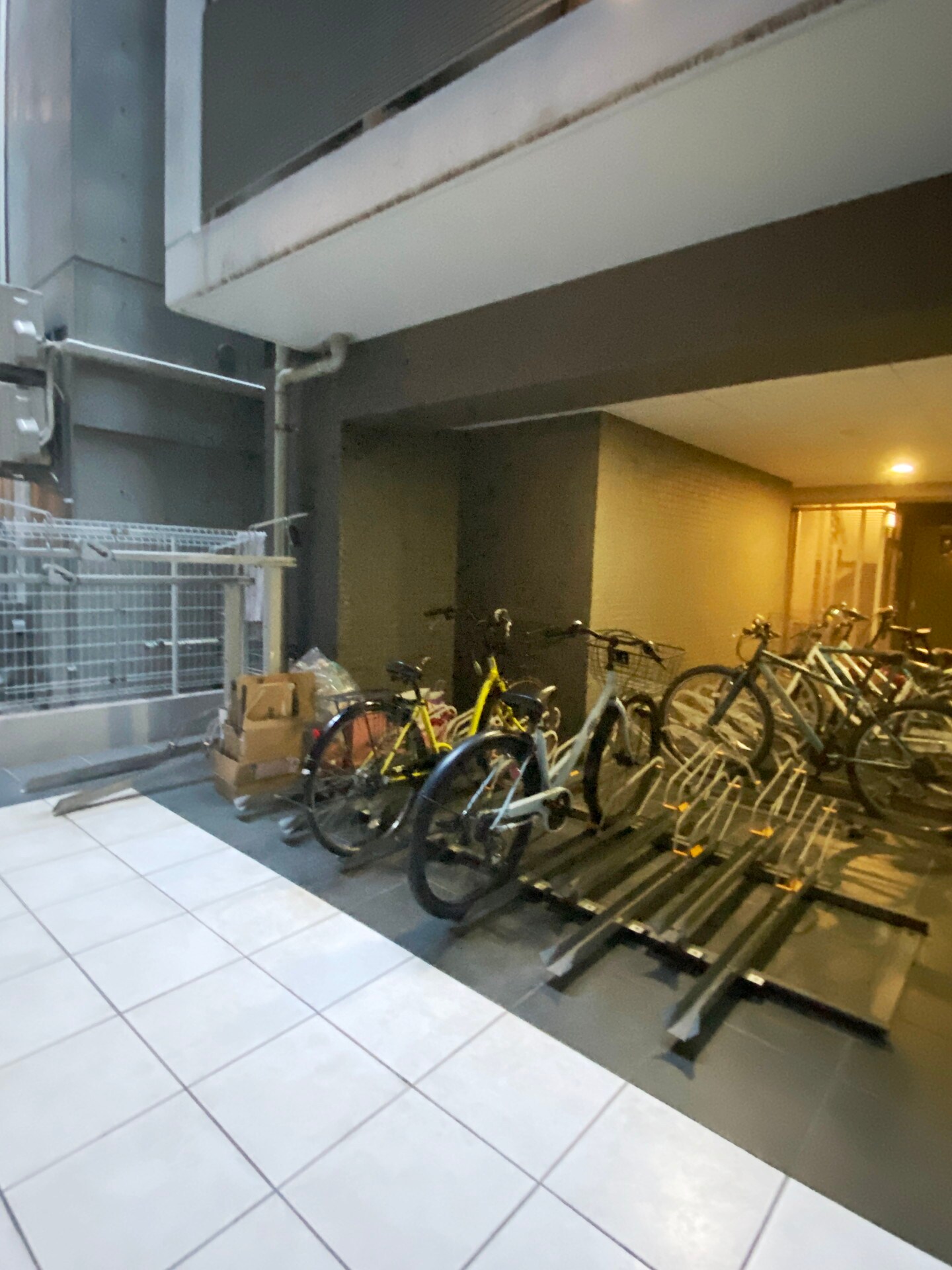 シンシア芝浦ルネッタ(シンシア芝浦lunetta)の物件内観写真