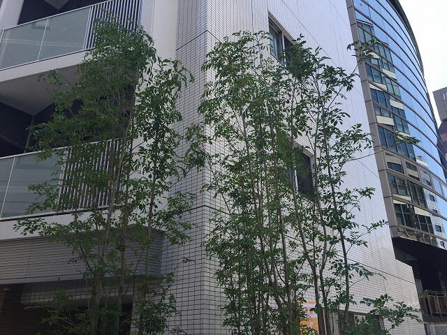 エスタート三田の物件内観写真