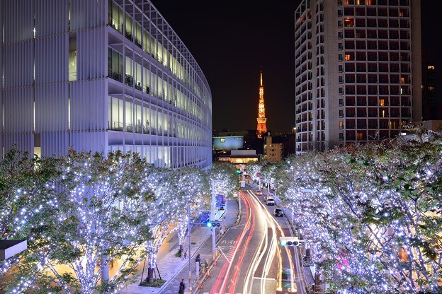 エムエフピーアールコート麻布十番(MFPRコート麻布十番)の物件内観写真