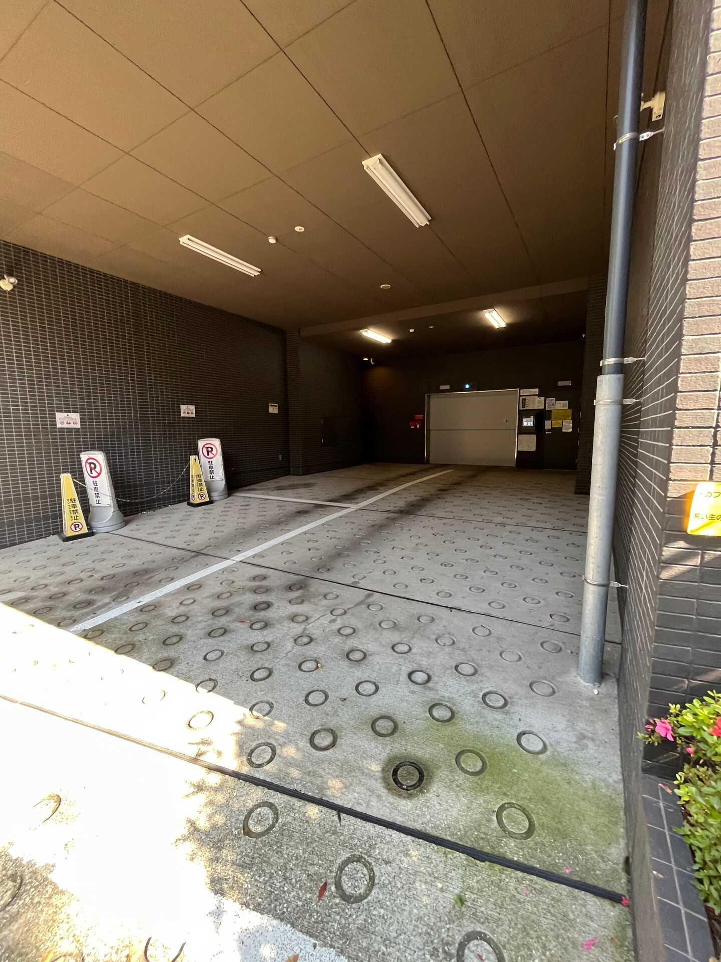 レジディア西麻布の物件内観写真