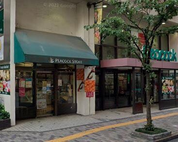 パークアクシス代官山の物件内観写真