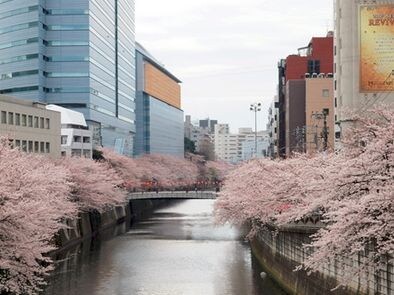 ザ・パークハビオ目黒の物件内観写真