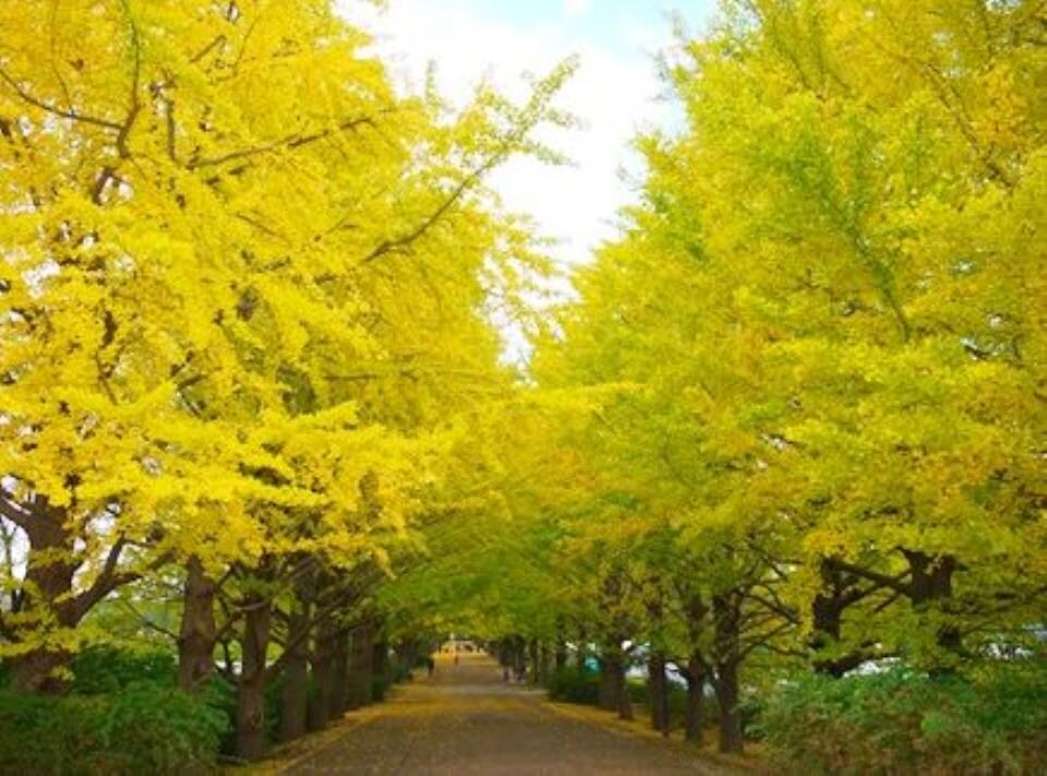 Qiz広尾(クイズ広尾)の物件内観写真