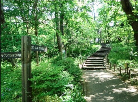 ジニア不動前の物件内観写真